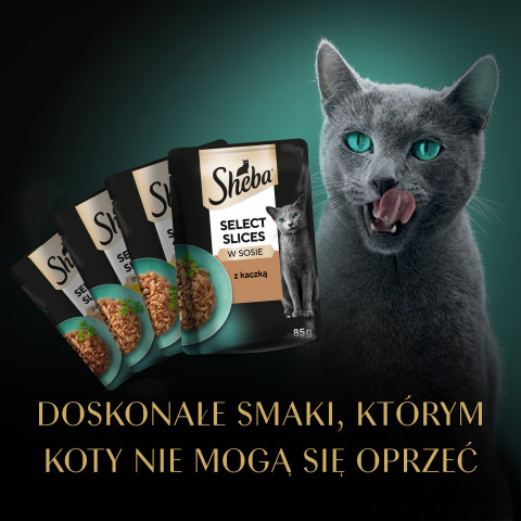 SHEBA Selection Select Slices Poultry Flavours - vlhké krmivo pro kočky - 40 x 85g - Fotogalerie 11