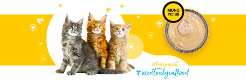 3COTY 33. Chicken Kitten - mokré krmivo pro kočky - 6x180g - Fotogalerie 4