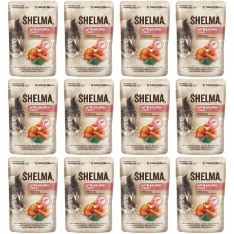 SHELMA with salmon in sauce - mokré krmivo pro kočky - 12x85g - Fotogalerie 1
