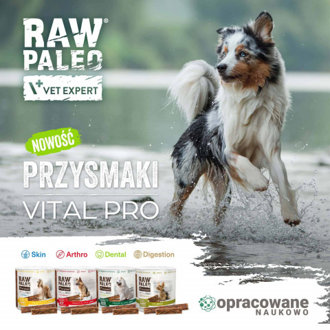 VETEXPERT Raw Paleo Vital Pro Arthro Beef Medium Large Mono - pamlsek pro psa - 100g - Fotogalerie 3