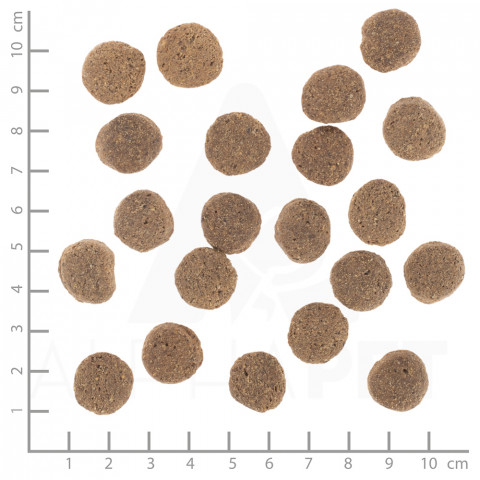 WOLFSBLUT VetLine Weight Management Turkey - suché krmivo pro psy - 12kg - Fotogalerie 2