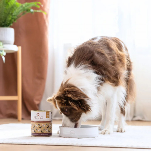 PERRO Turkey with zucchini Monoprotein - vlhké krmivo pro psy - 400g - Fotogalerie 3