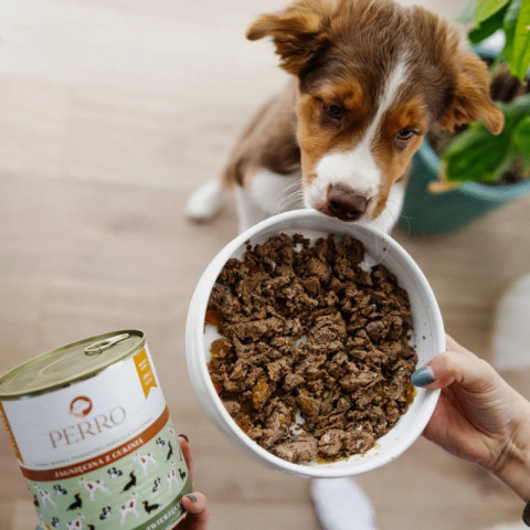 PERRO Junior Mono-Protein Lamb with Zucchini - vlhké krmivo pro psy - 800g - Fotogalerie 3