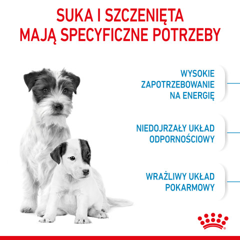 Royal Canin Mini Starter Mother & Babydog Dospělí Drůbež 1 kg - Fotogalerie 3