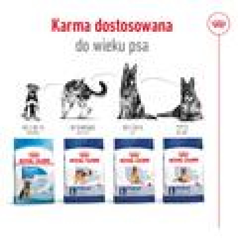 ROYAL CANIN Maxi Adult - suché krmivo pro psy - 15 kg + SHN Maxi Adult Loaf Can 410g GRATIS - Fotogalerie 6