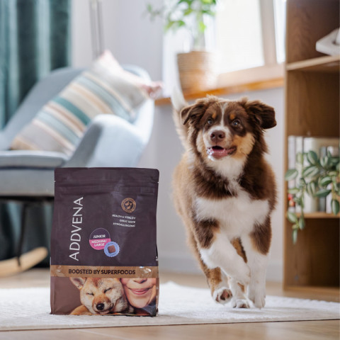 ADDVENA Boosted by superfoods Junior Medium/Large Beef – suché krmivo pro psy – 10 kg + 2,5 kg ZDARMA! - Fotogalerie 2