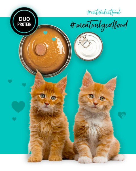 3COTY Chicken with duck For kittens - mokré krmivo pro kočky - 24x80g - Fotogalerie 6