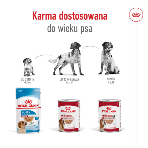 ROYAL CANIN Medium Ageing 7+ mokré krmivo, paštika pro starší psy středních plemen od 7 let věku. - Fotogalerie 4