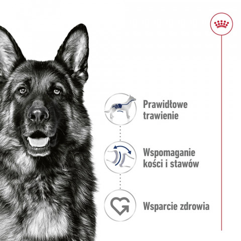 ROYAL CANIN Maxi Adult - suché krmivo pro psy - 15 kg + SHN Maxi Adult Loaf Can 410g GRATIS - Fotogalerie 28