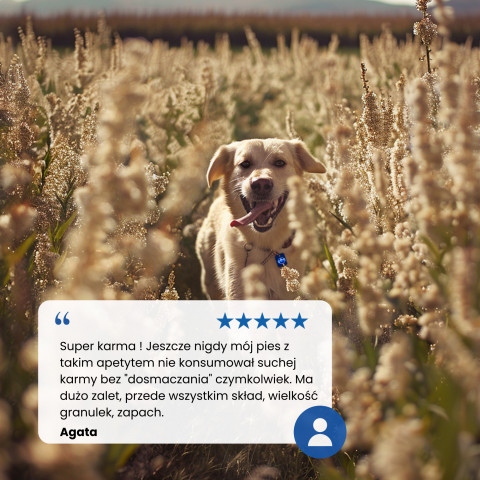 FARMINA N&D Ancestral Grain Selection Adult Medium & Maxi – suché krmivo pro psy – 12 kg + 3 kg - Fotogalerie 3