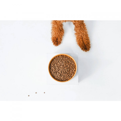 NATURE'S PROTECTION Superior Care Red Coat Adult Small breed Grain free Salmon - suché krmivo pro psy - 10kg - Fotogalerie 3