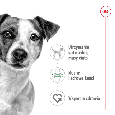 ROYAL CANIN Adult Mini S - suché krmivo pro psy - 4kg - Fotogalerie 15