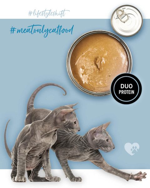 3COTY Turkey with chicken For kittens - mokré krmivo pro kočky - 80g - Fotogalerie 8