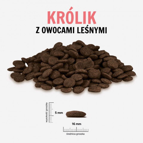 PAKA ZWIERZAKA Králík s lesními plody L – suché krmivo pro psy – 9kg - Fotogalerie 2