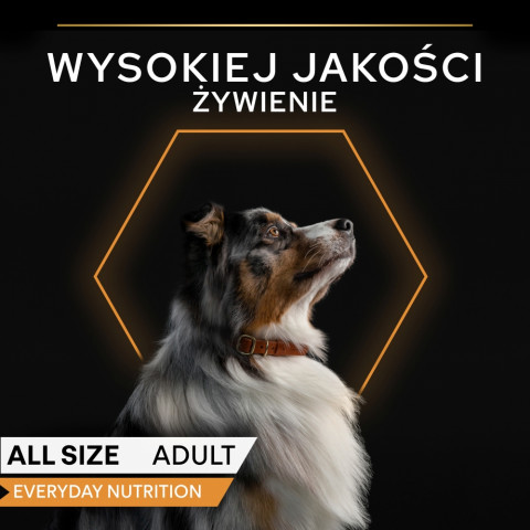 PURINA Pro Plan Everyday nutrition All size Adult Turkey in jelly - vlhké krmivo pro psy - 6x400g - Fotogalerie 5