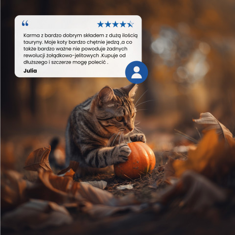 FARMINA N&D Pumpkin Cat Lamb and Blueberry Neutered Adult - suché krmivo pro kočky - 1.5 kg - Fotogalerie 2