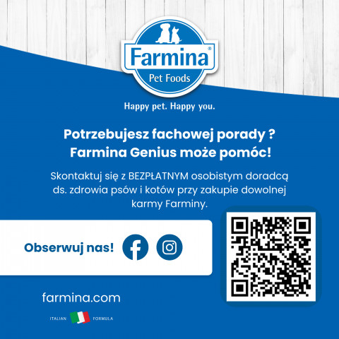 FARMINA N&D Quinoa Skin&Coat Cat Herring and Coconut Adult - suché krmivo pro kočky - 300 g - Fotogalerie 2