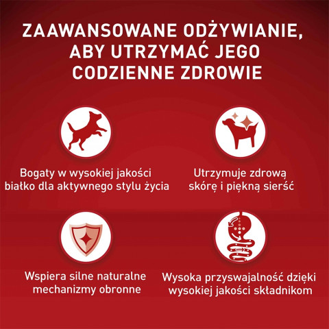 PURINA One Mini/Small Active Rich in chicken with rice - suché krmivo pro psy - 800g - Fotogalerie 4