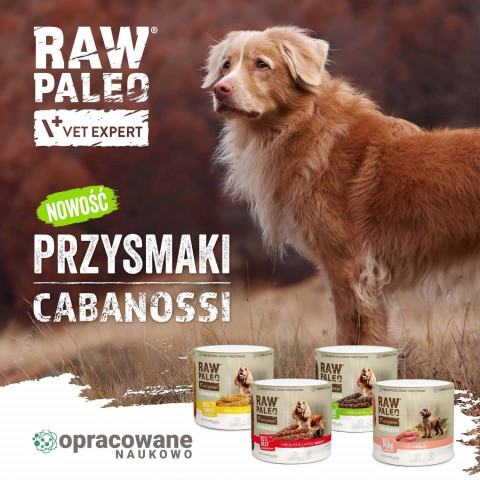 VETEXPERT Raw Paleo Cabanossi Game Medium Large - pamlsek pro psa - 100g - Fotogalerie 3