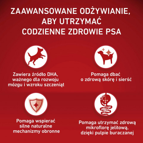 PURINA One Junior Medium/Maxi Rich in chicken with rice - suché krmivo pro psy - 2,5kg - Fotogalerie 2