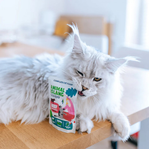 ANIMAL ISLAND Chicken / Beef Fillets in broth - mokré krmivo pro kočky - 80x85g - Fotogalerie 2