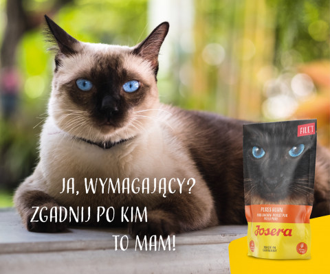 JOSERA Kuřecí filet - vlhké krmivo pro kočky - 70 g - Fotogalerie 2