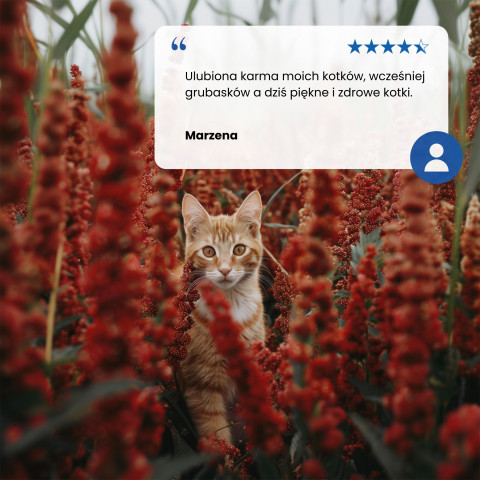 FARMINA N&D Quinoa Weight Management Lamb - suché krmivo pro kočky - 5kg - Fotogalerie 4