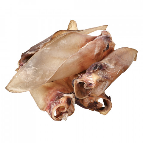 PETITTO Beef ear with cartilage - pamlsek pro psa - 10 - Fotogalerie 1