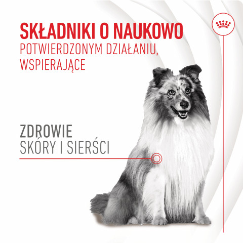 ROYAL CANIN Supplements Dog Skin & Coat Adult - vitamíny pro psa - 240g - Fotogalerie 9