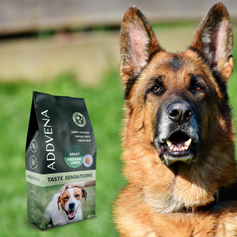 ADDVENA Taste Sensations Adult Medium/Large Turkey - suché krmivo pro psy - 2,5kg - Fotogalerie 2