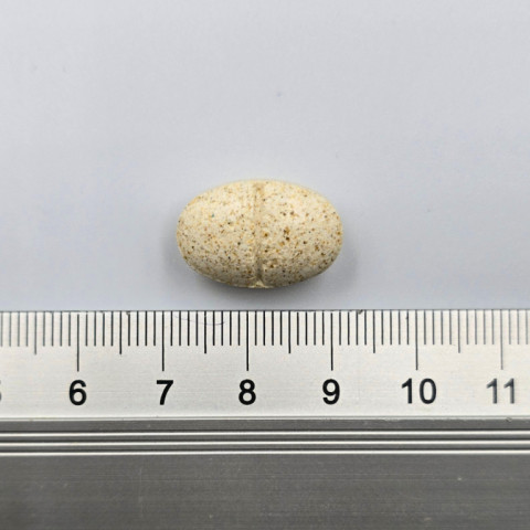 GAME DOG AniFlexi Marine V2 - doplňky stravy pro psy - 80 tablet - Fotogalerie 2