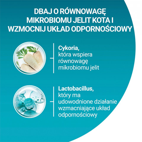 PURINA One Bifensis Senior 7+ - suché krmivo pro kočky - 800 g - Fotogalerie 4