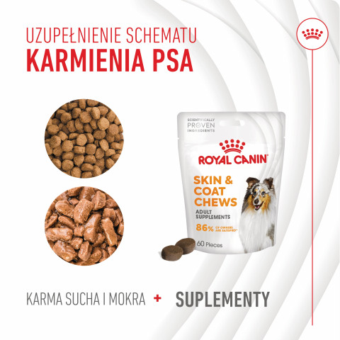 ROYAL CANIN Supplements Dog Skin & Coat Adult - vitamíny pro psa - 240g - Fotogalerie 14