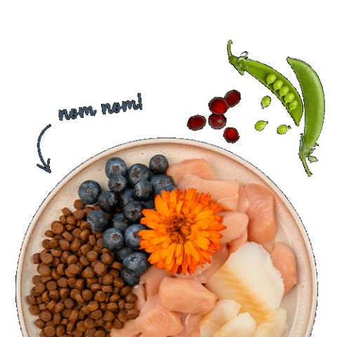 BOSCH Sanabelle Adult Trout & Blueberries - suché krmivo pro kočky - 2kg - Fotogalerie 3