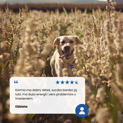 FARMINA N&D Ancestral Grain Selection Adult Medium & Maxi – suché krmivo pro psy – 12 kg + 3 kg - Fotogalerie 2