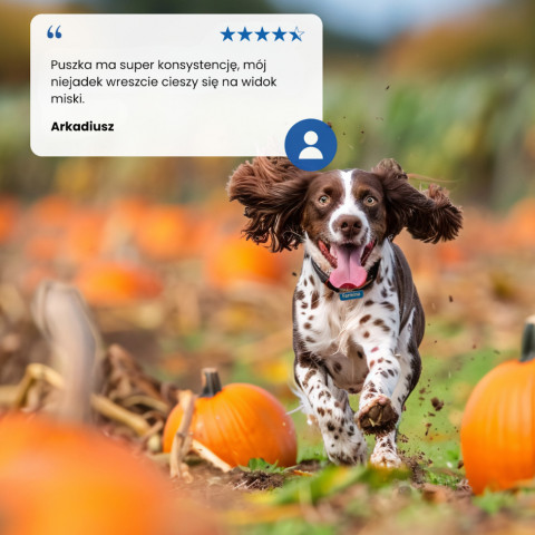 FARMINA N&D Pumpkin Dog Lamb, Pumpkin, Blueberry Puppy – mokré krmivo pro štěňata – 12 x 285 g - Fotogalerie 6