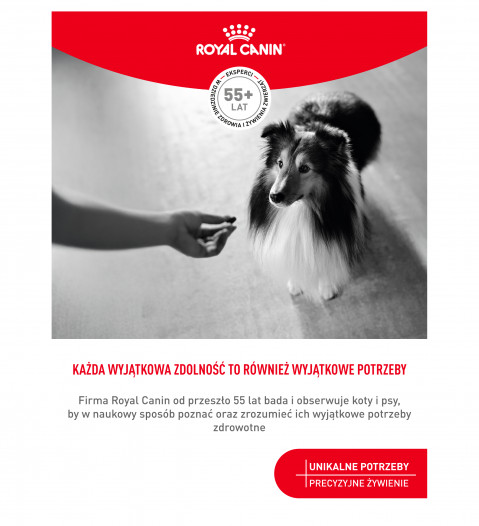 ROYAL CANIN Supplements Dog Skin & Coat Adult - vitamíny pro psa - 240g - Fotogalerie 8