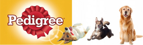 PEDIGREE Adult Hovězí ve želé – mokré krmivo pro psy – 6×400 g - Fotogalerie 3