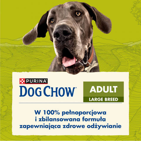 Purina DOG CHOW Large Breed Adult 14 kg Dospělý jedinec Turecko - Fotogalerie 6