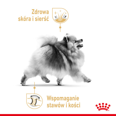 Royal Canin Pomeranian Adult 3 kg - Fotogalerie 5