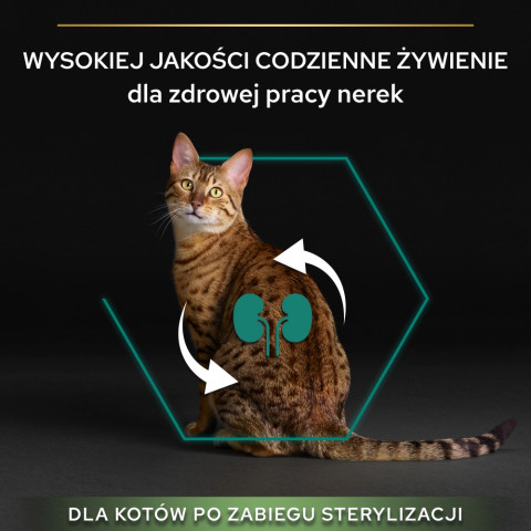 PURINA Pro Plan Sterilised Renal Turkey - suché krmivo pro kočky - 400g - Fotogalerie 7