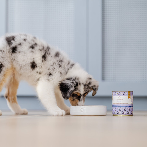PERRO Gourmet Junior Rabbit with pumpkin Mono - vlhké krmivo pro psy - 800g - Fotogalerie 3