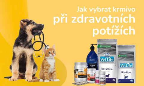 Jak vybrat krmivo při zdravotních potížích?