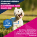 EUKANUBA Premium nutrition mature Small breed Chicken - suché krmivo pro psy - 3kg - Fotogalerie 3
