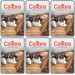CALIBRA Cat Premium Adult Lamb & Poultry - mokré krmivo pro kočky - 6x100g - Fotogalerie 1
