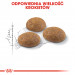 Royal Canin Outdoor suché krmivo pro kočky 2 kg - Fotogalerie 8