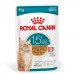 ROYAL CANIN Ageing 15+ Chunks in gravy - mokré krmivo pro kočky - 12x85g - Fotogalerie 7