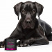 JM SANTE Monovet Power Collagen - doplňky stravy pro psy a kočky - 120g - Fotogalerie 2