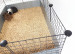 C&C modulární klec podlaha 4x2 + Loft 2x1 + Černá rampa - Fotogalerie 8