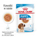 ROYAL CANIN Medium Puppy - vlhké krmivo pro psy - 10x140g - Fotogalerie 5